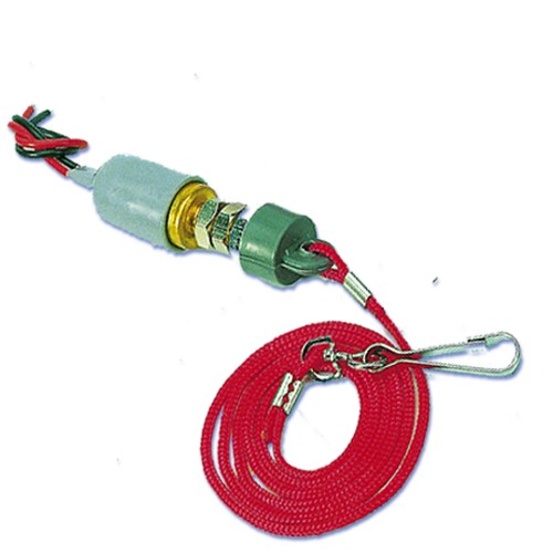 Kill switch inboard - switch, engine
