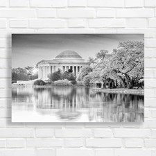 Captivating Cherry Blossom At