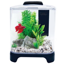 Aqua One Pico fish tank