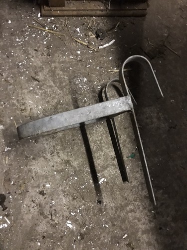 Calf horse sheep feeder bucket - horse,
