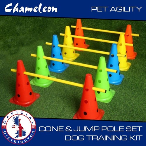 Dog pet agility jump - pet, training