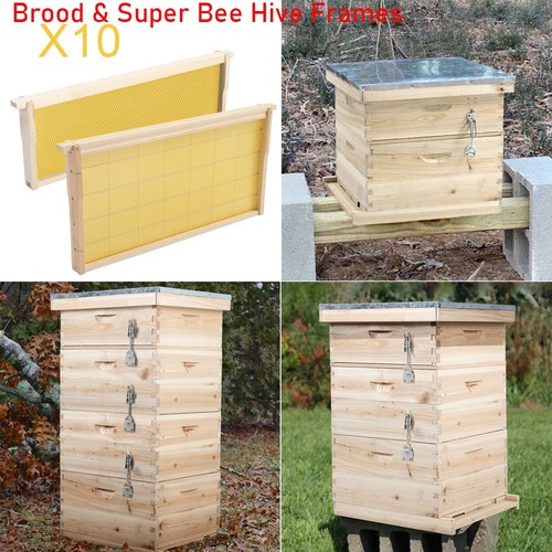 Tiers langstroth beehive - 2,
