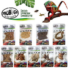 Reptile Food Insects ProBugs