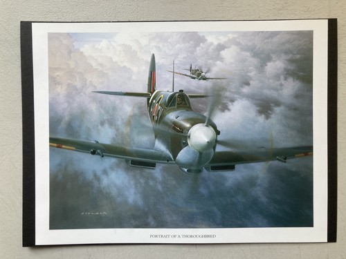 Military aviation print - military,