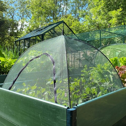 Popncrop fruit cage veg - fruit,