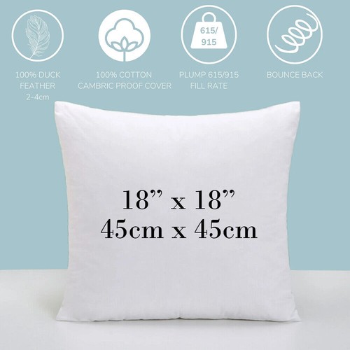 Duck feather cushion - feather, inserts