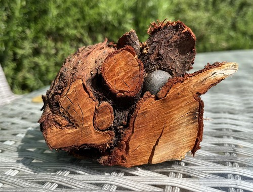 Chunky driftwood log - cm,