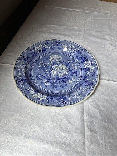 Spode blue room - blue, collection