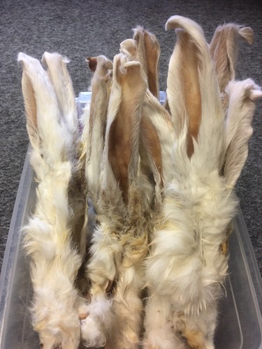 1kg quality furry rabbit ears - 1kg,
