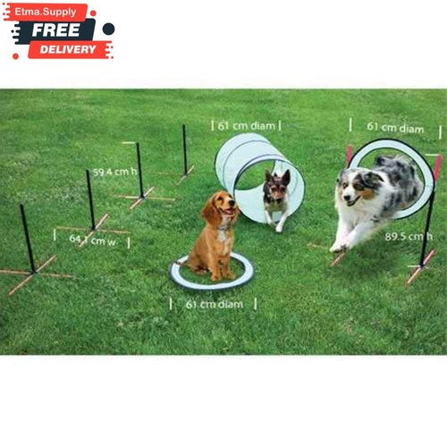 Dog agility obstacle course - dog,