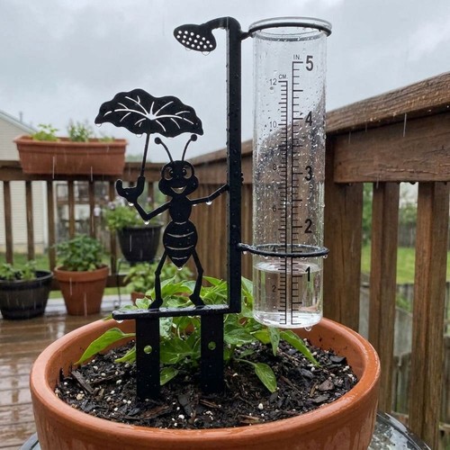 Metal ant rain gauge stake - rain,