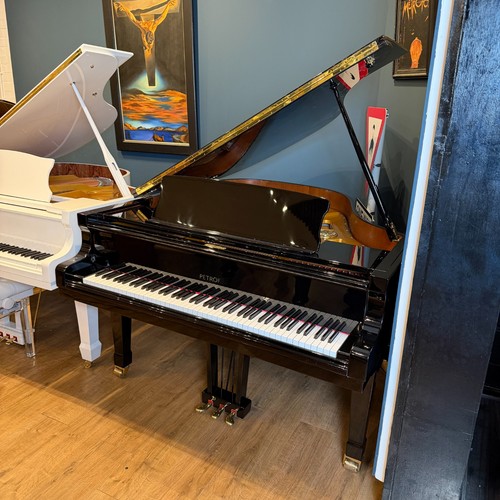 Petrof 170 baby grand - baby, piano