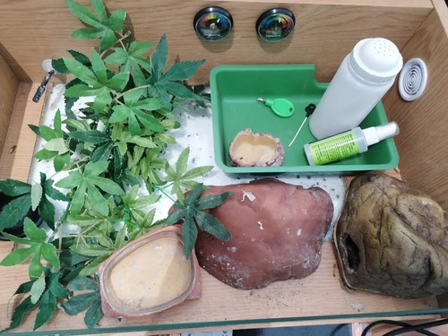 Used reptile vivarium 610mm - vivarium,,