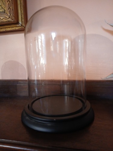 Cm glass cloche - x,