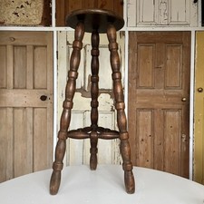 Vintage French Breton Plant