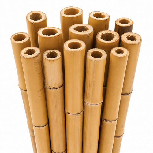 2ft 6ft long bamboo - 2ft, to