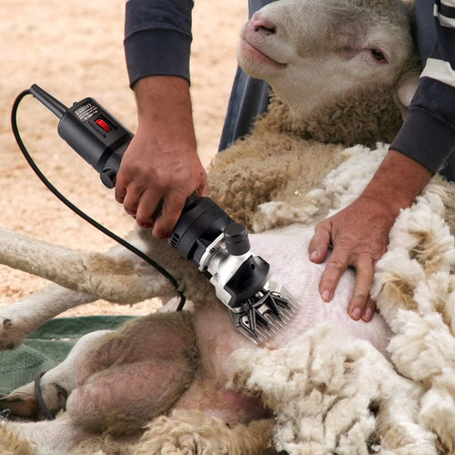 Livestock electric - livestock,