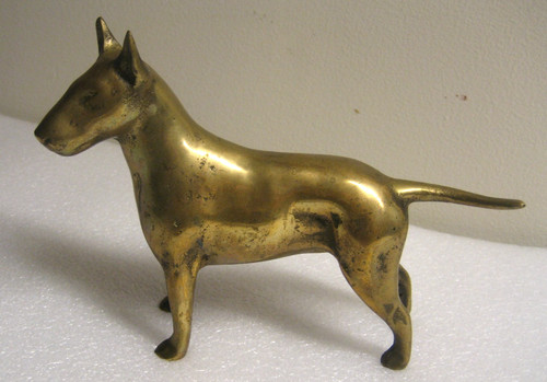English bull terrier dog - english,