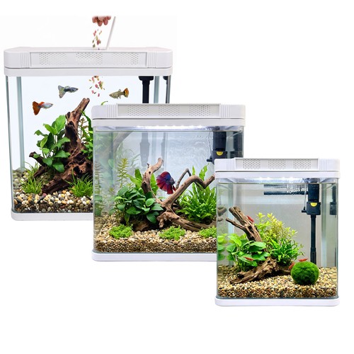 Aquarium fish tank kit led - fish,