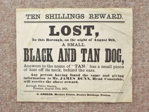 1871 lost dog - dog, victorian