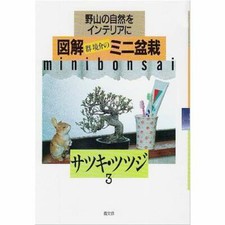 bonsai Book Satsuki-Azalea