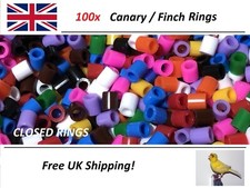 100 Bird Rings Multi Colour