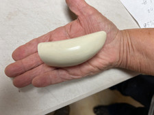 blank Sperm Whale replica tooth ready to scrimshaw #0