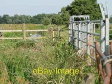 Photo 6x4 Drainage Ditch with Cattle Crush Aldeby A cattle crush stands i c2010