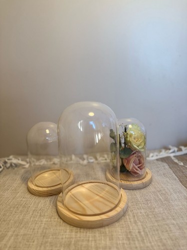 Glass dome cloche bell jar - cloche,