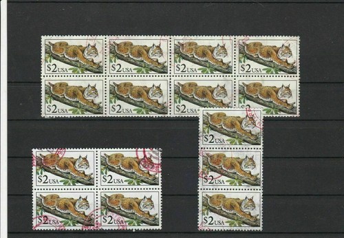 United states dollar bobcat - dollar,