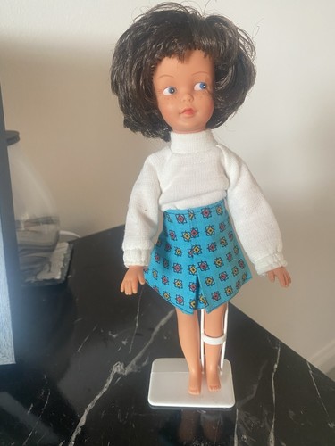 Pedigree sindy canterbury - pedigree,
