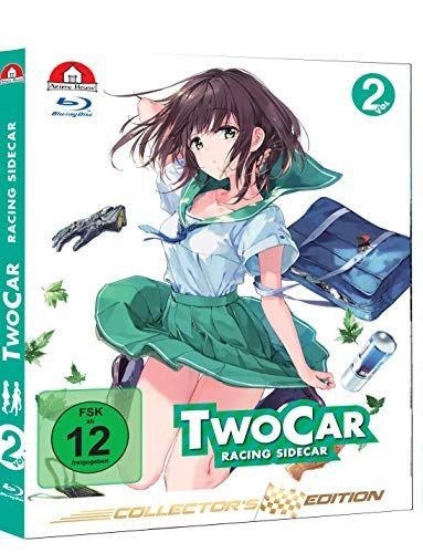 Two car racing - two, sidecar