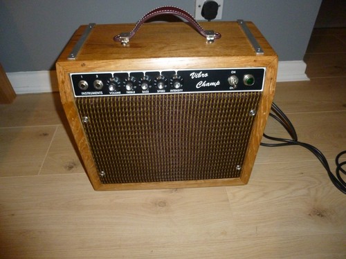 Vibrochamp guitar combo - guitar,