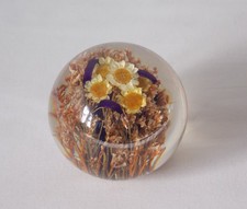 HAFOD GRANGE PAPERWEIGHT DRIED