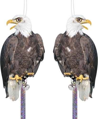 2pcs hawk bird scarer owl - hawk,