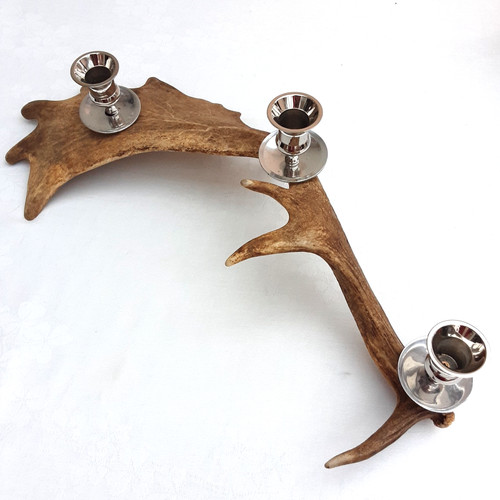Genuine fallow deer antler - genuine,