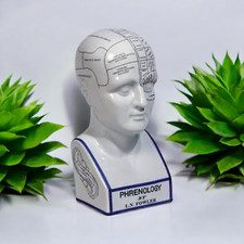 Phrenology Head L.N fowler porcelain 12'' ceramic head Antique  crackle glaze