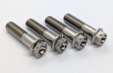 Kawasaki ZX7-R ZX7RR Titanium