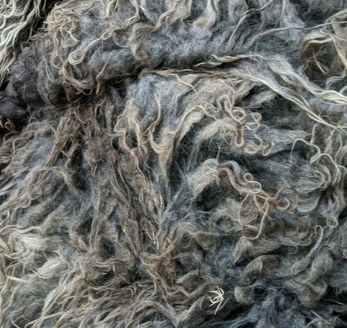 Raw fleece black - -,