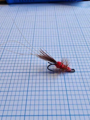 Red francis salmon - red,