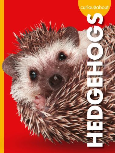 Curious about hedgehogs - curious,