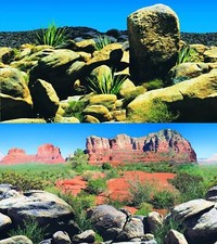 Aquarium Fish Tank Background Double Sided 24" / 60cm High - 2 to 6 FT Lengths 