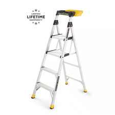 5.5 Ft. Aluminum Dual Platform