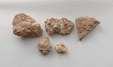 Roman Opus Signinum - Building