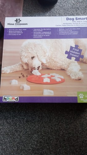 Dog smart hide and seek - , treat
