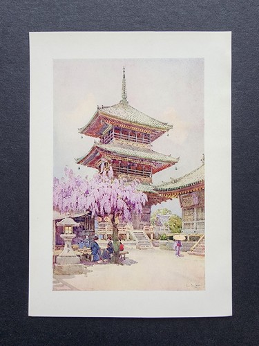 Antique 1908 print wisteria - antique,
