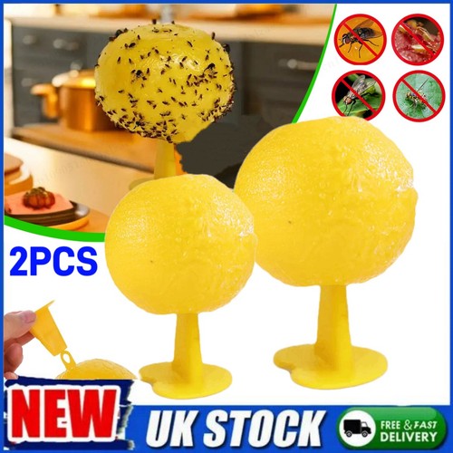 Fruit fly balls ball - 2x,