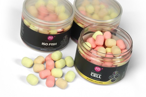 Mainline carp fishing pyw - carp,