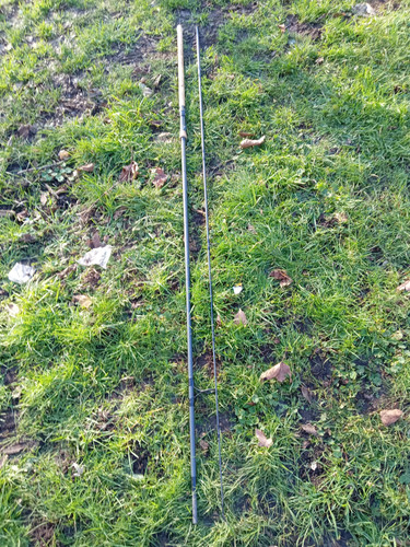 Fox piker 12ft 25lb - piker, 3.25lb