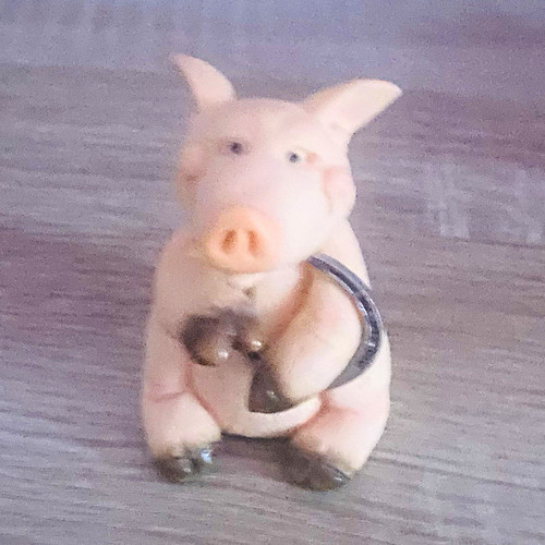 Piggin good luck david - piggin’,